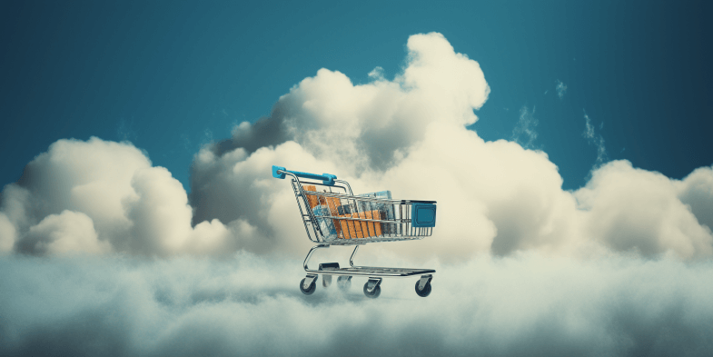 Cloud baseret webshop løsning (hosted)